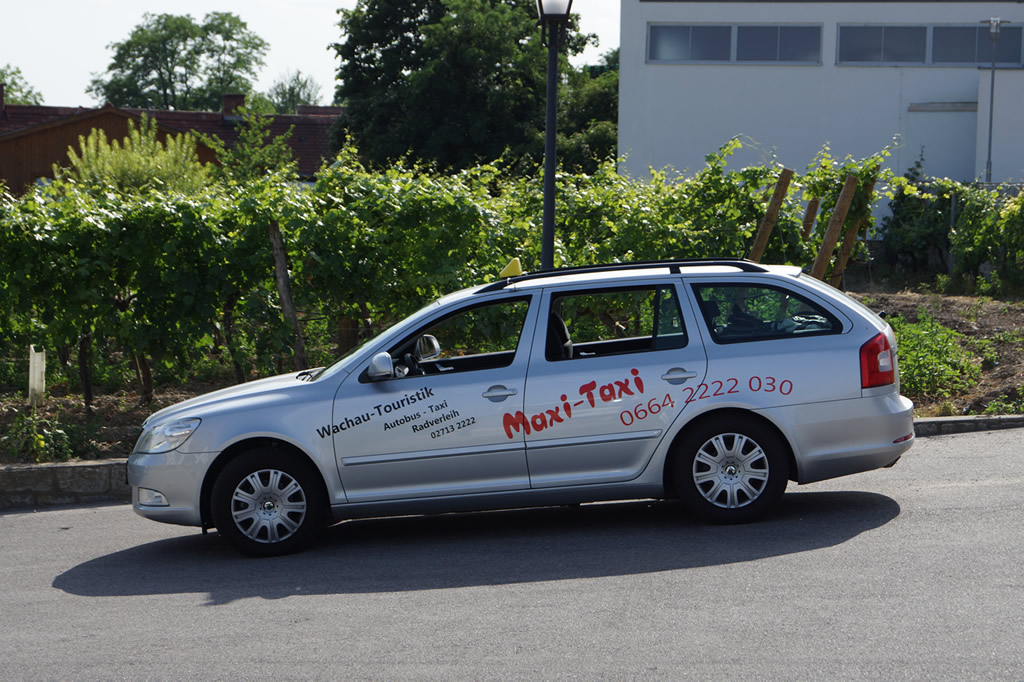 Taxi vor Weinrebe